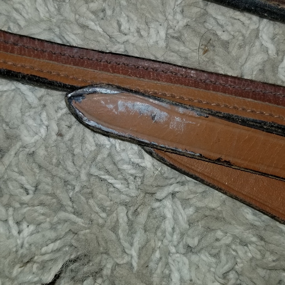 Reins - Picture 7 of 8